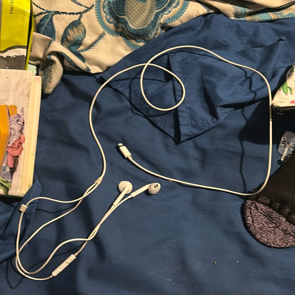 Apple headphones